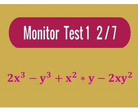 Monitor - Test 1