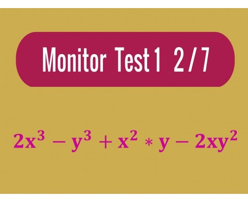 Monitor - Test 1