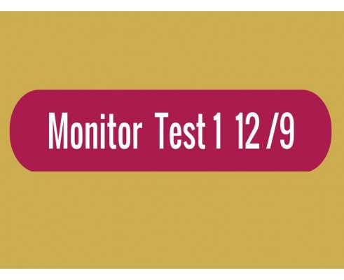 Monitor - Test 1