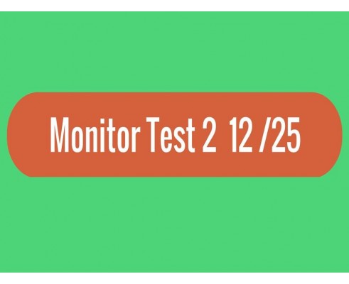 Monitor - Test 2
