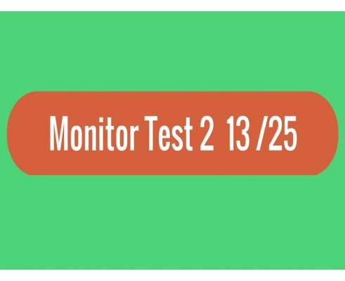 Monitor - Test 2
