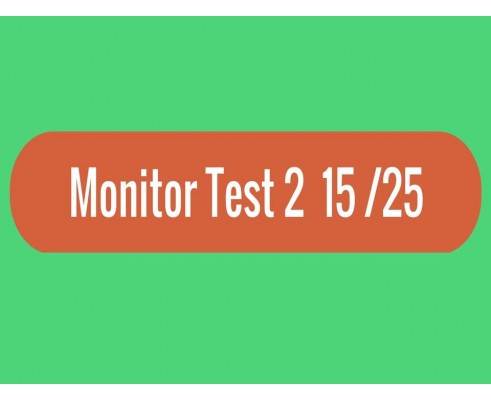 Monitor - Test 2